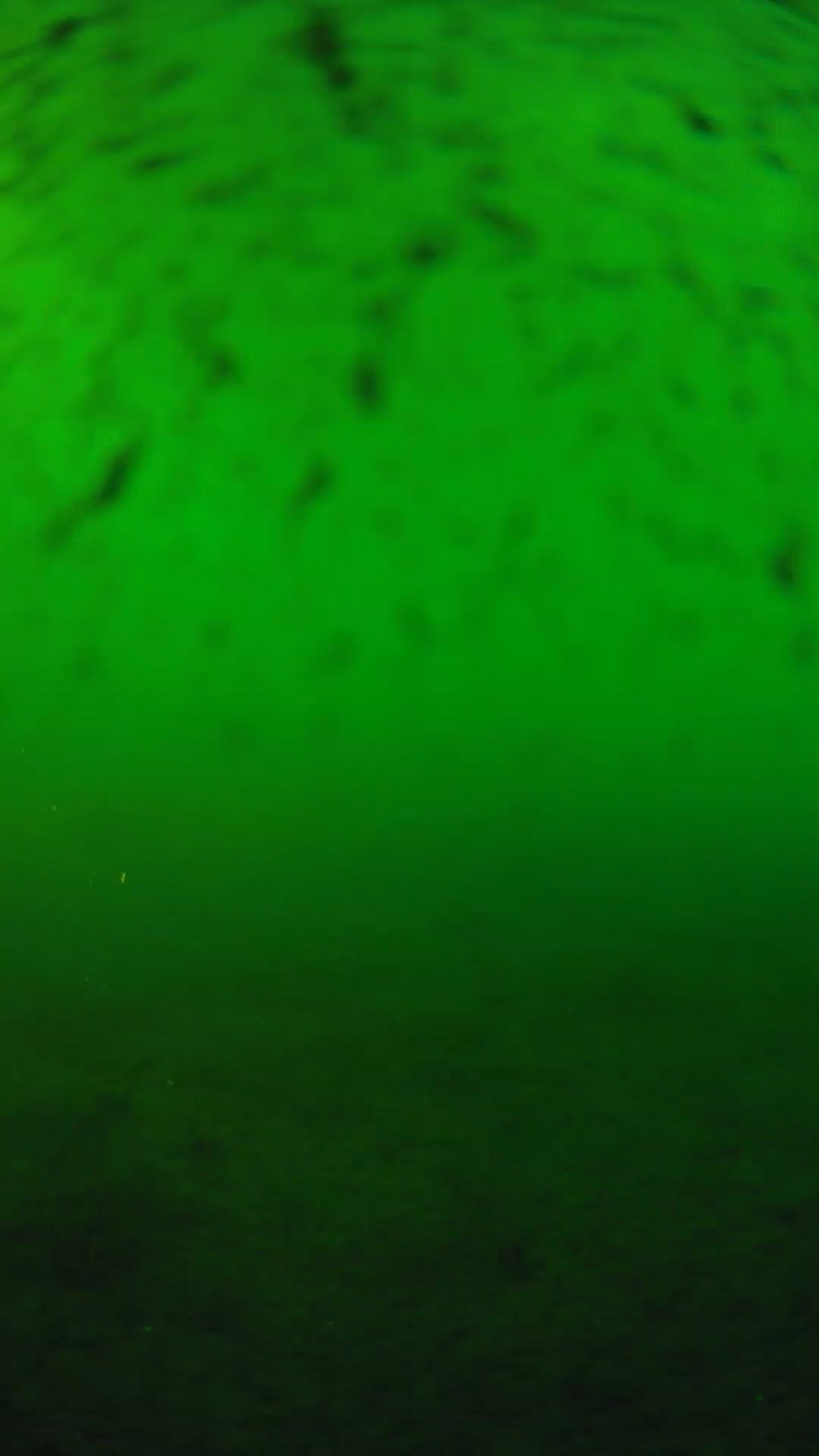 lander_ipcam_20240626180547.png