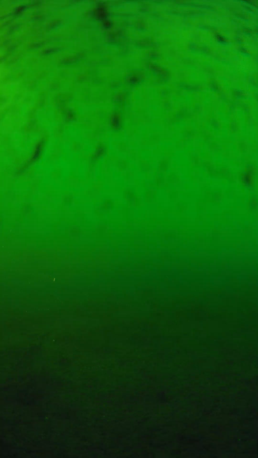 lander_ipcam_20240626180548.png