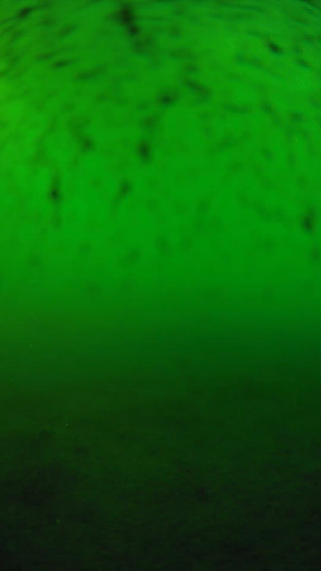 lander_ipcam_20240626180552.png