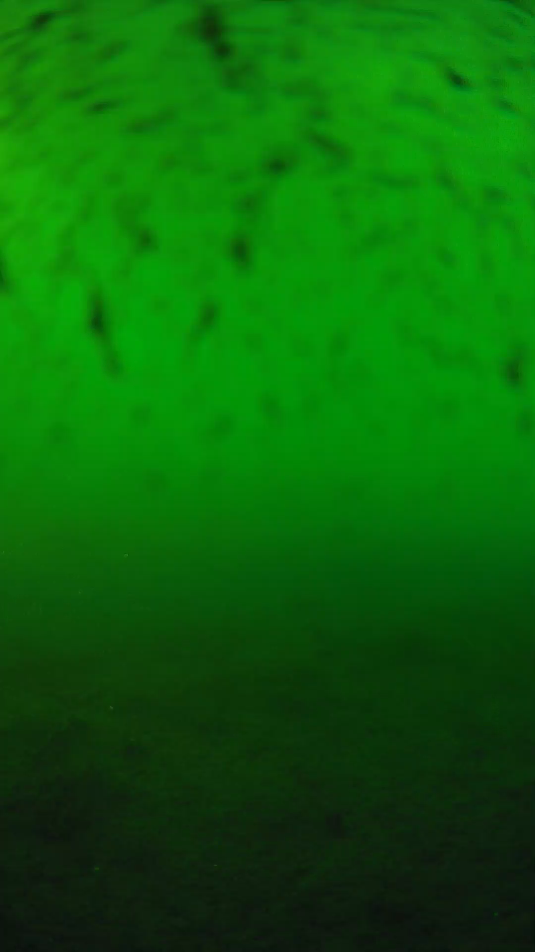 lander_ipcam_20240626180553.png