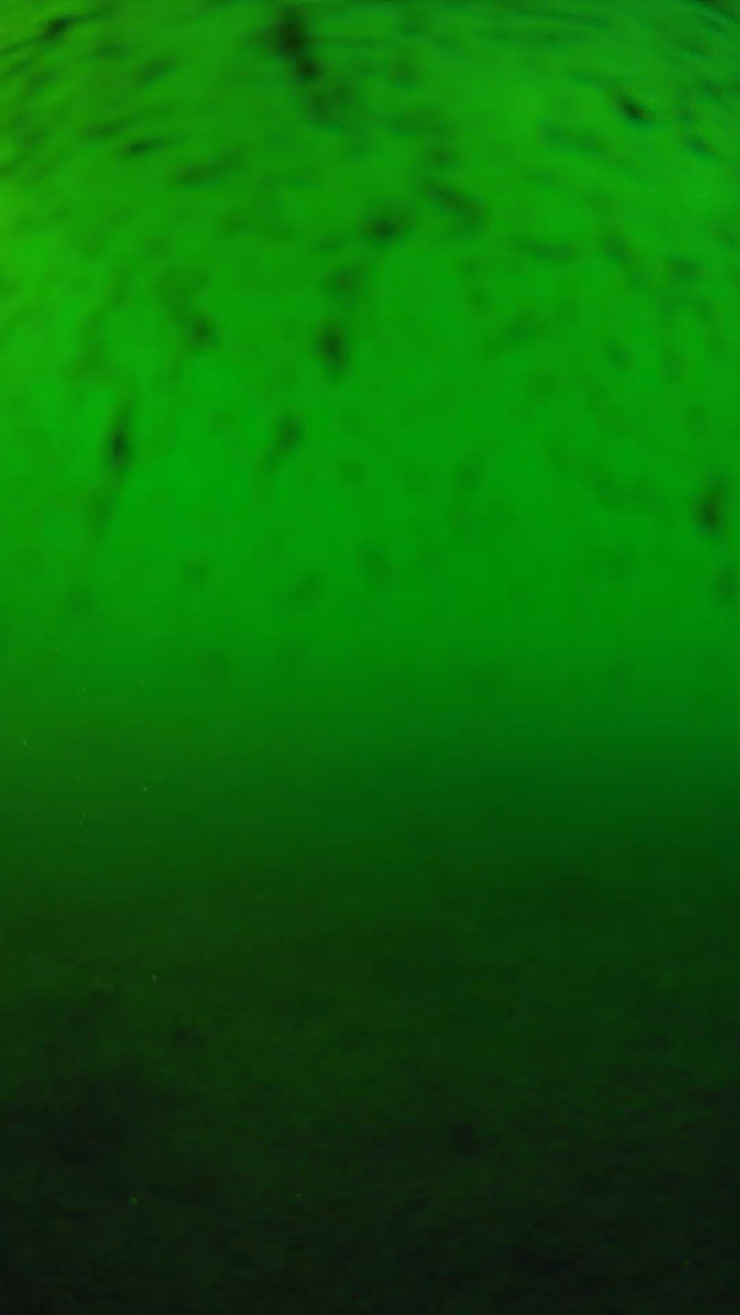 lander_ipcam_20240626180556.png