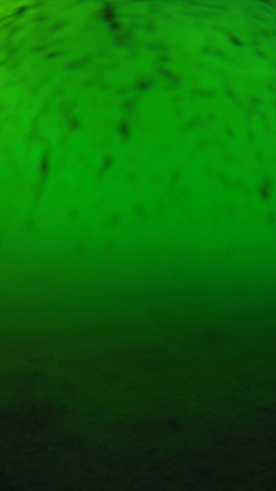 lander_ipcam_20240626180559.png