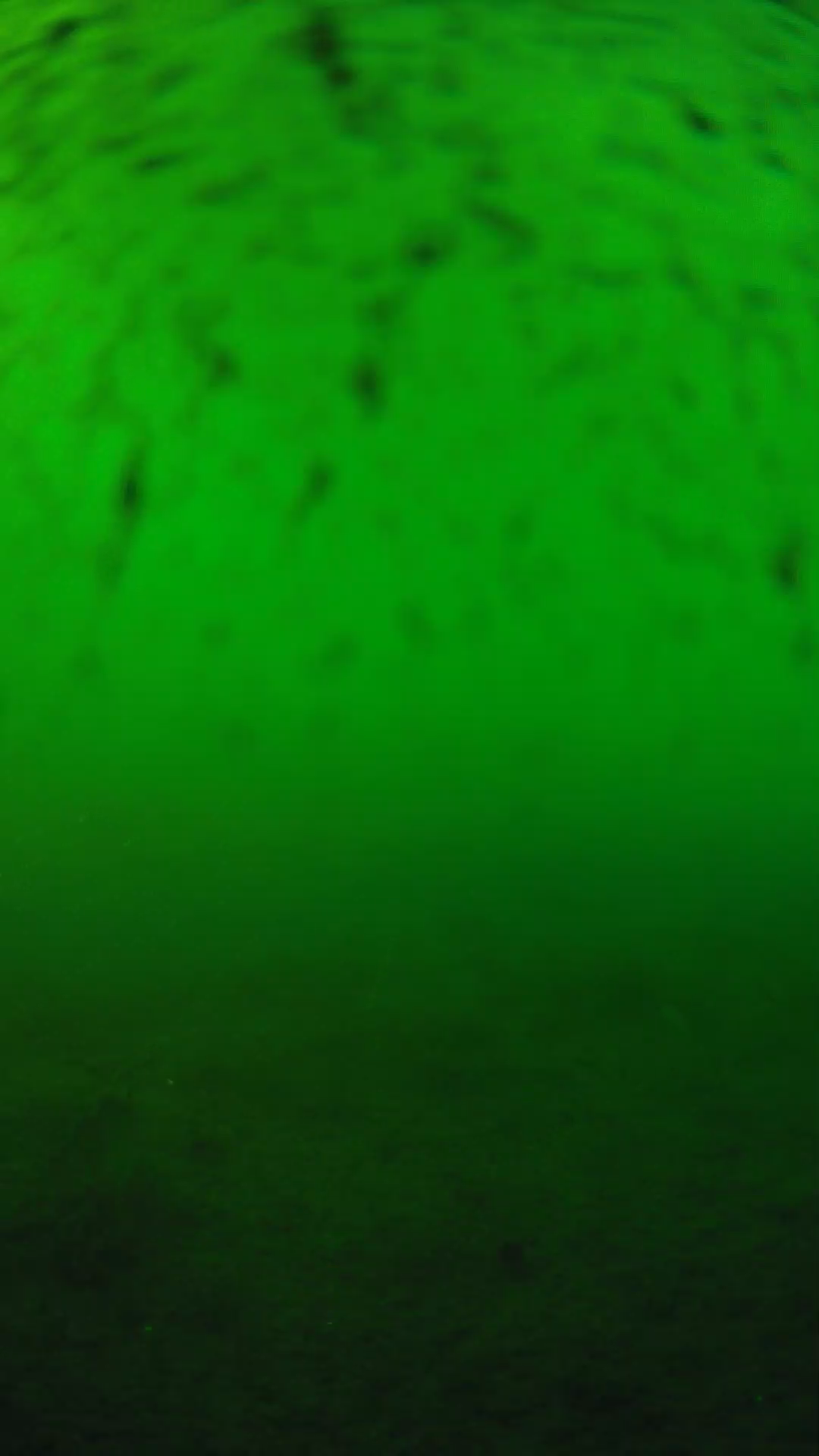 lander_ipcam_20240626180600.png