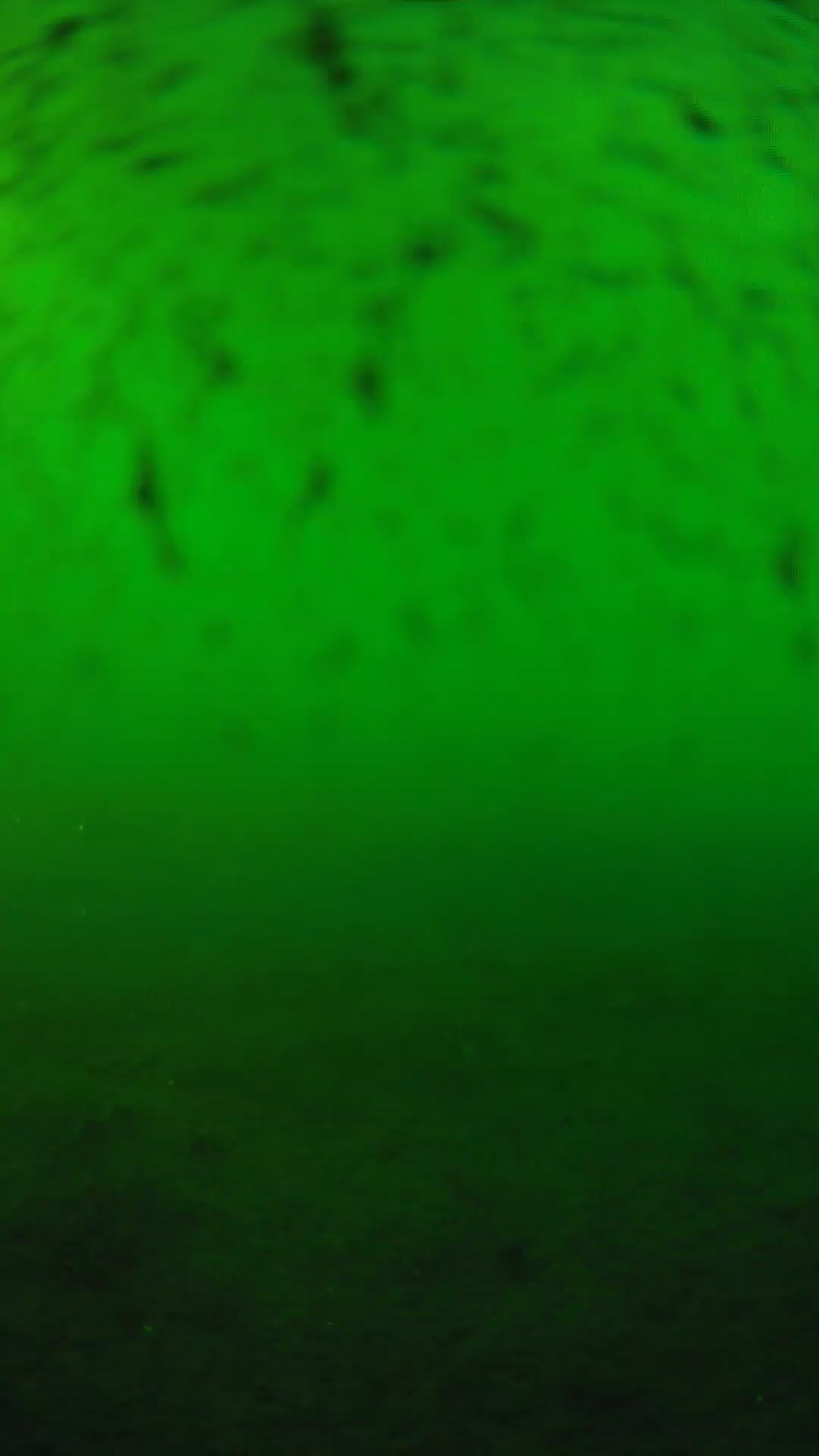 lander_ipcam_20240626180604.png