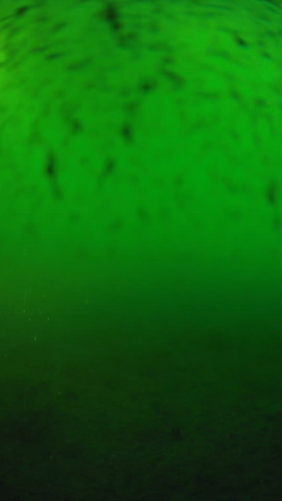 lander_ipcam_20240626183552.png