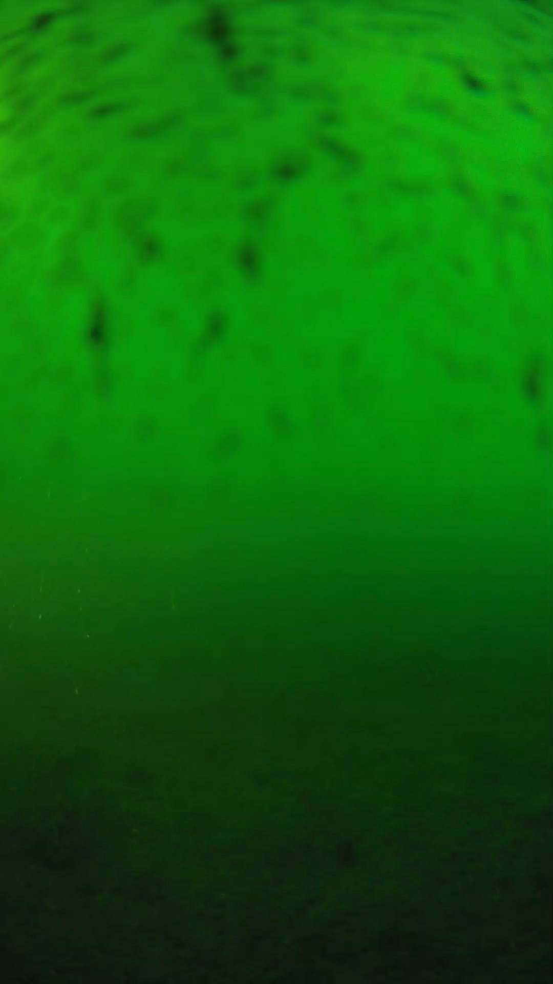 lander_ipcam_20240626183553.png