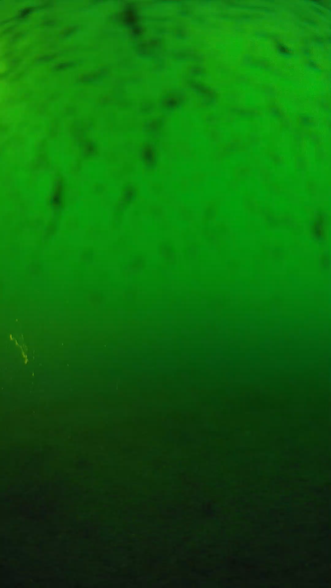lander_ipcam_20240626183558.png
