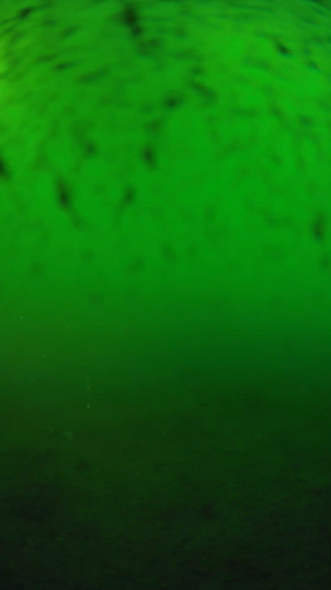 lander_ipcam_20240626183604.png