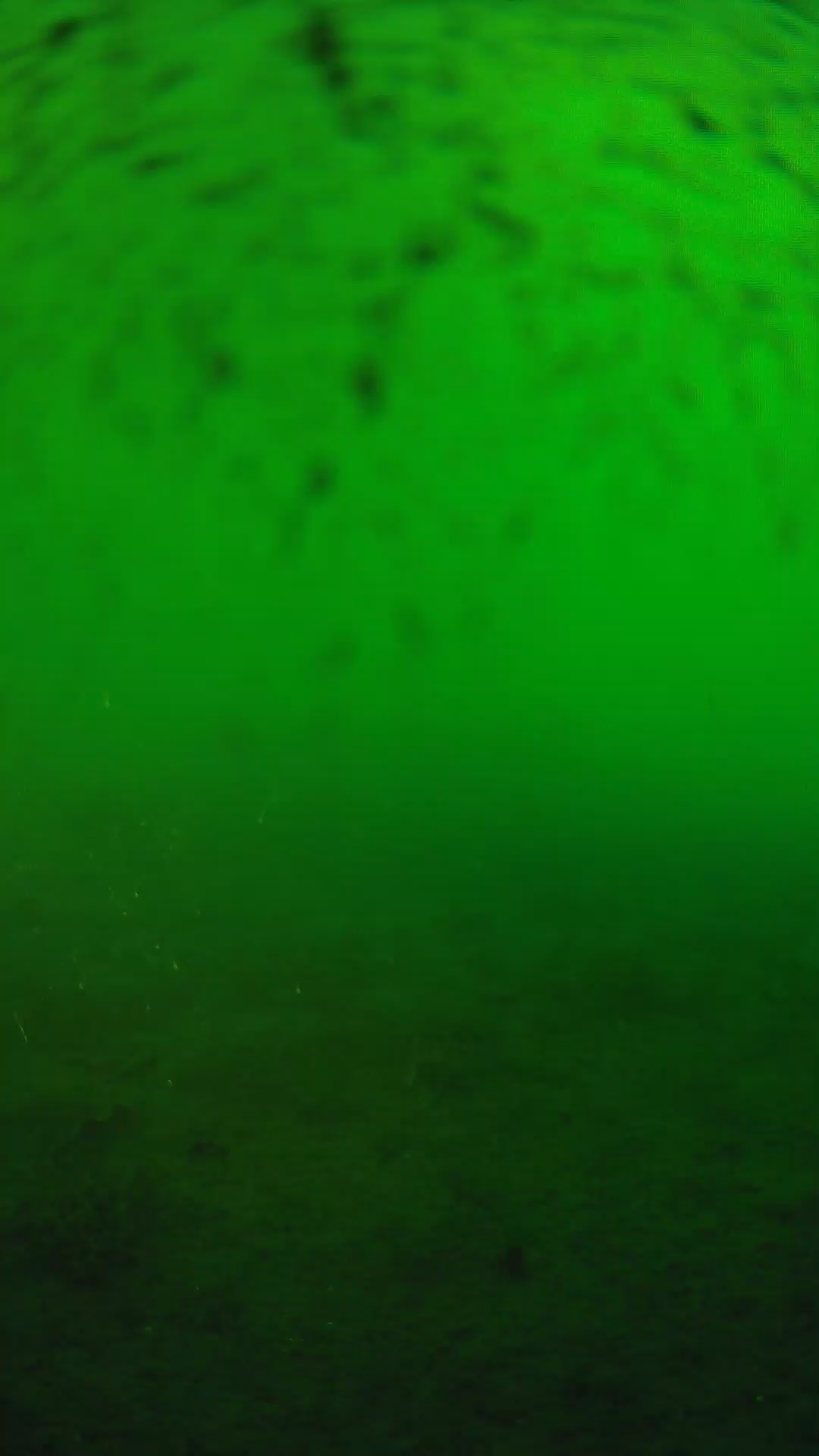 lander_ipcam_20240626190606.png