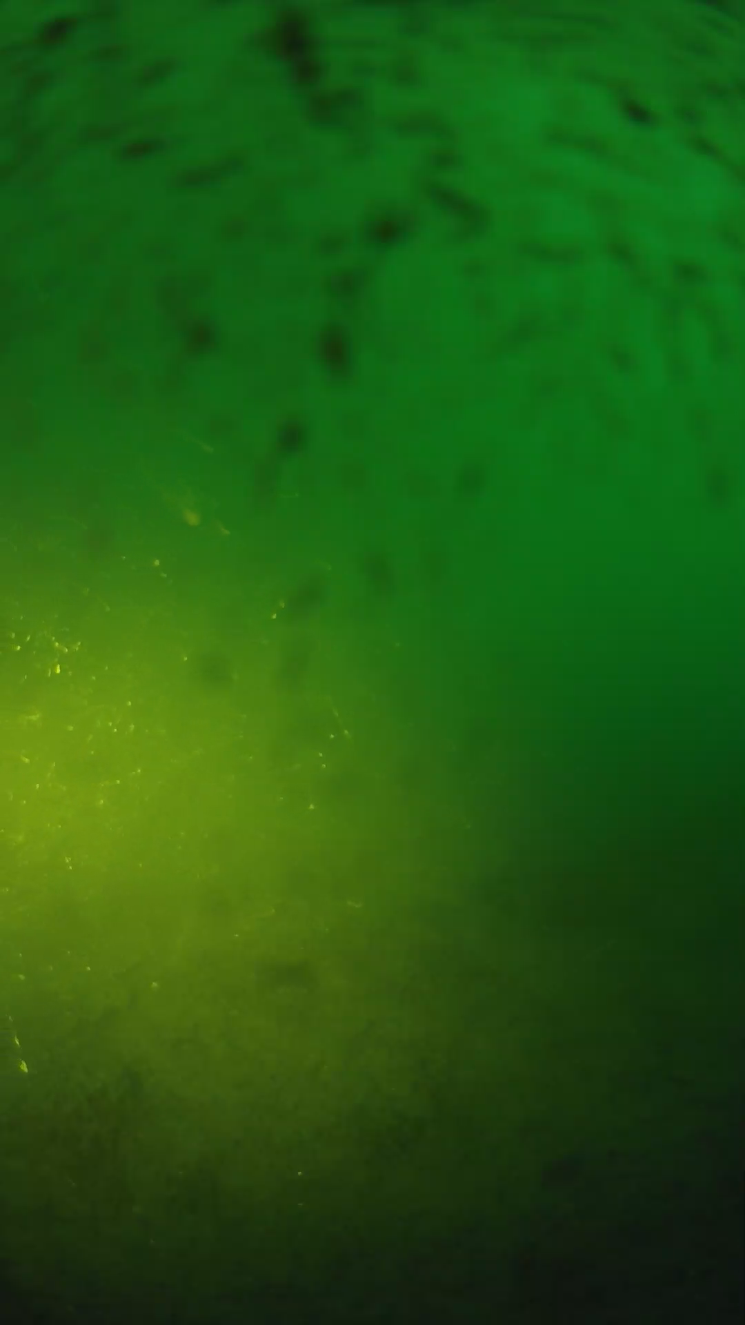 lander_ipcam_20240626200540.png