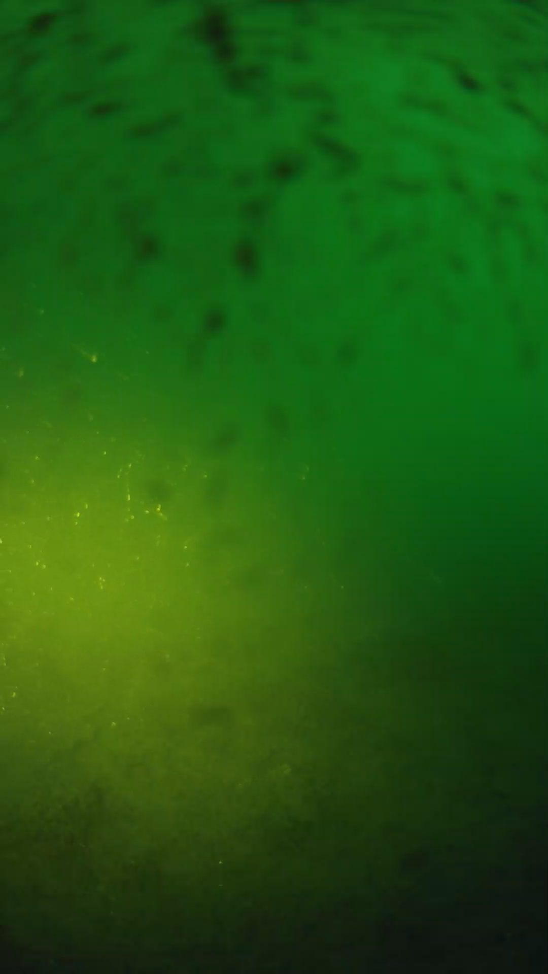 lander_ipcam_20240626200544.png