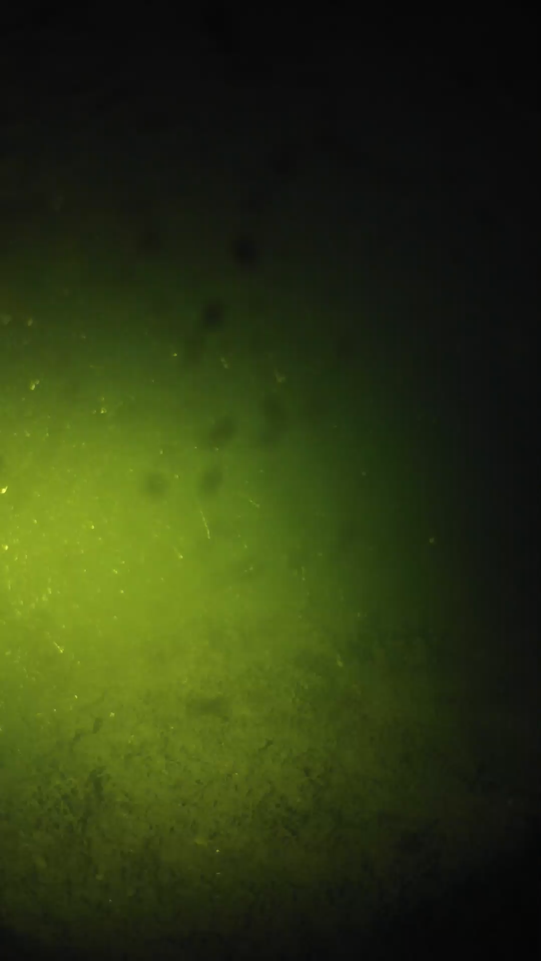 lander_ipcam_20240626203539.png