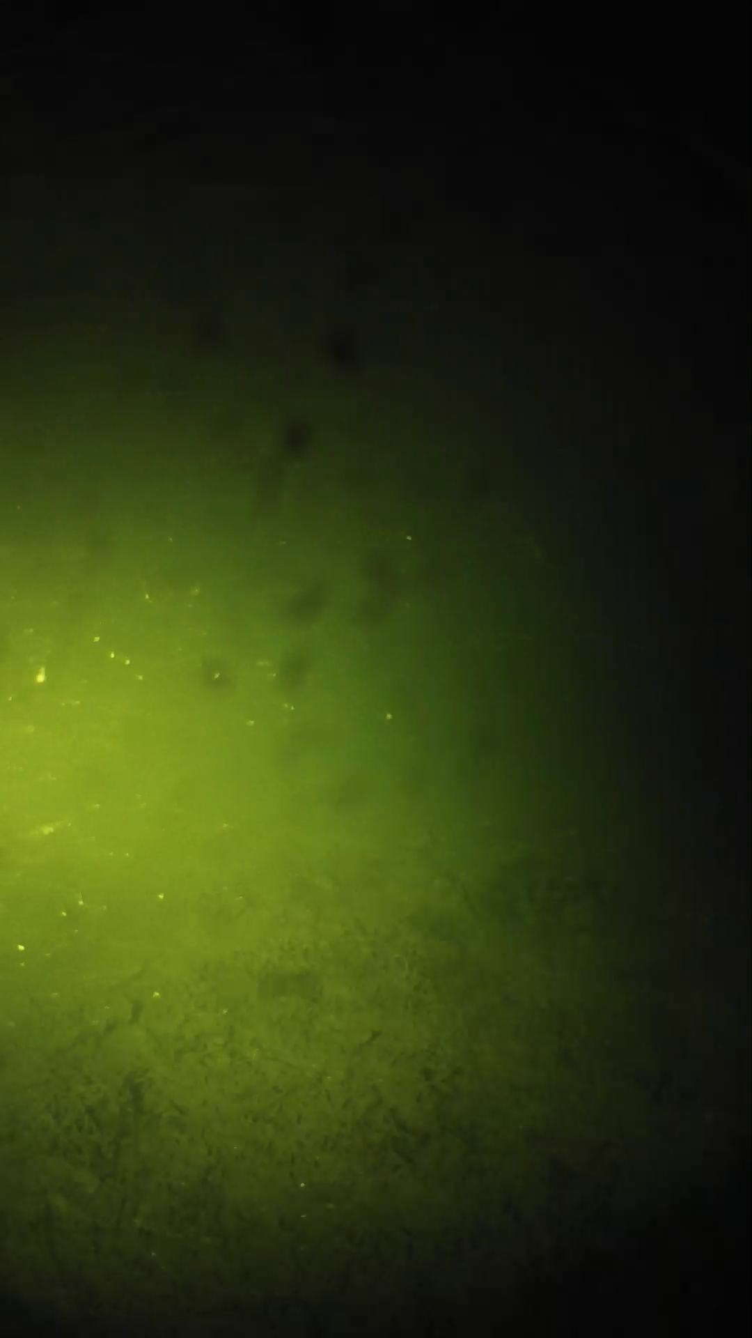 lander_ipcam_20240626210548.png