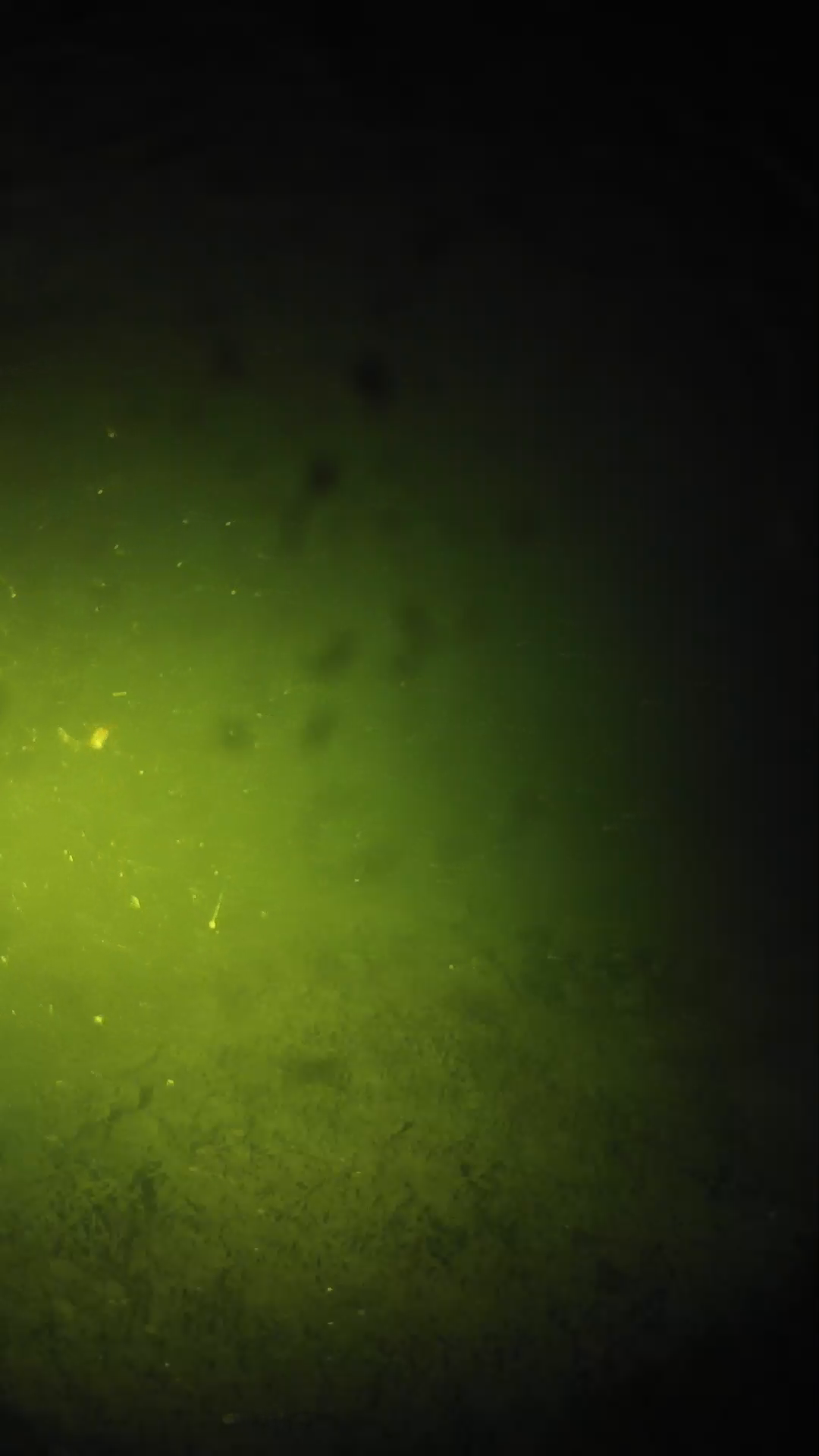 lander_ipcam_20240626210608.png