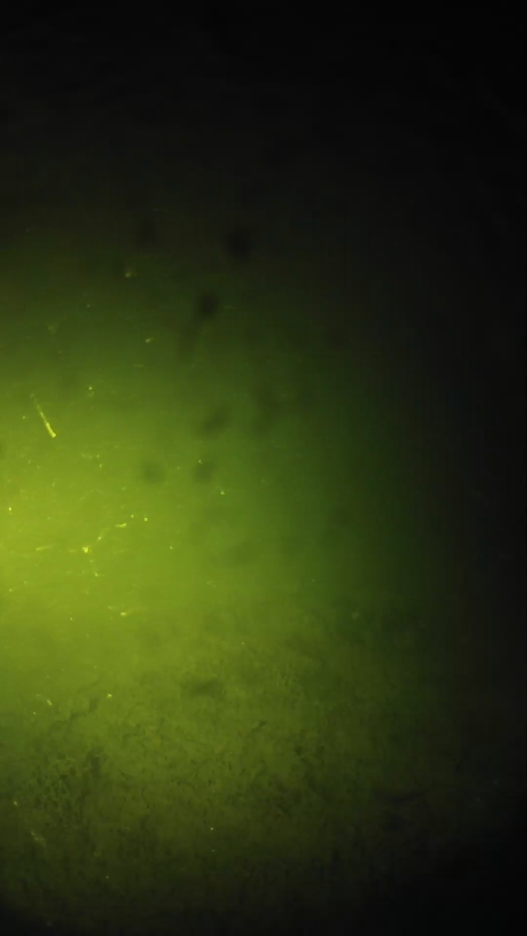 lander_ipcam_20240626213539.png
