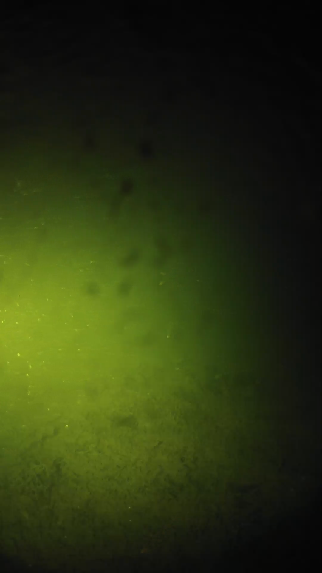 lander_ipcam_20240626213544.png