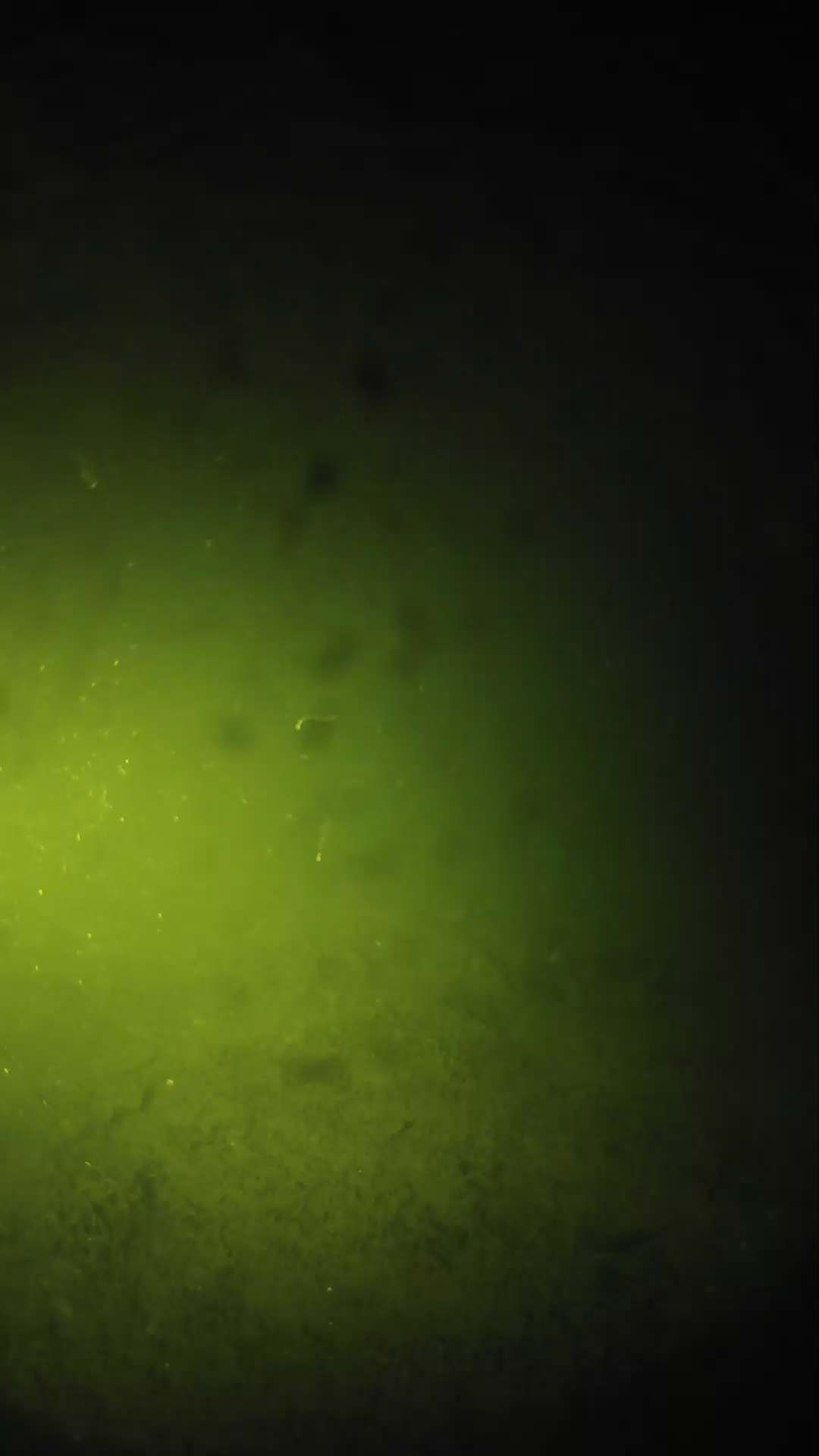 lander_ipcam_20240626213547.png