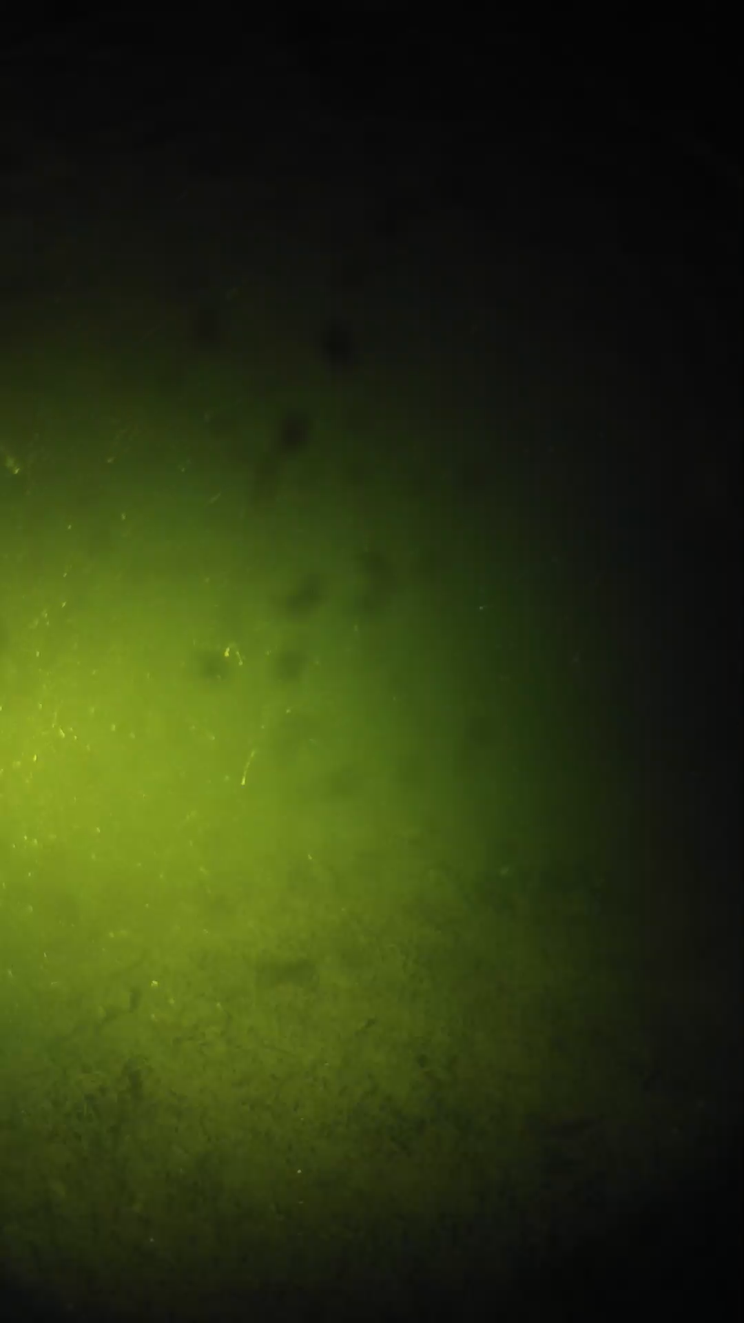 lander_ipcam_20240626213550.png