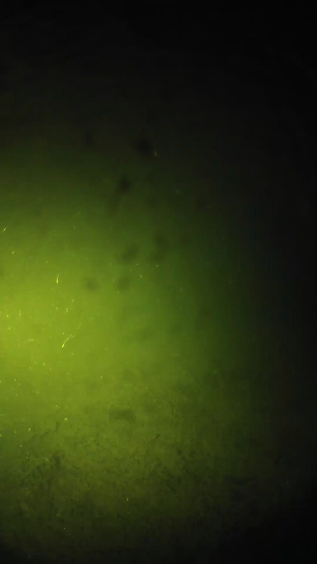 lander_ipcam_20240626213556.png