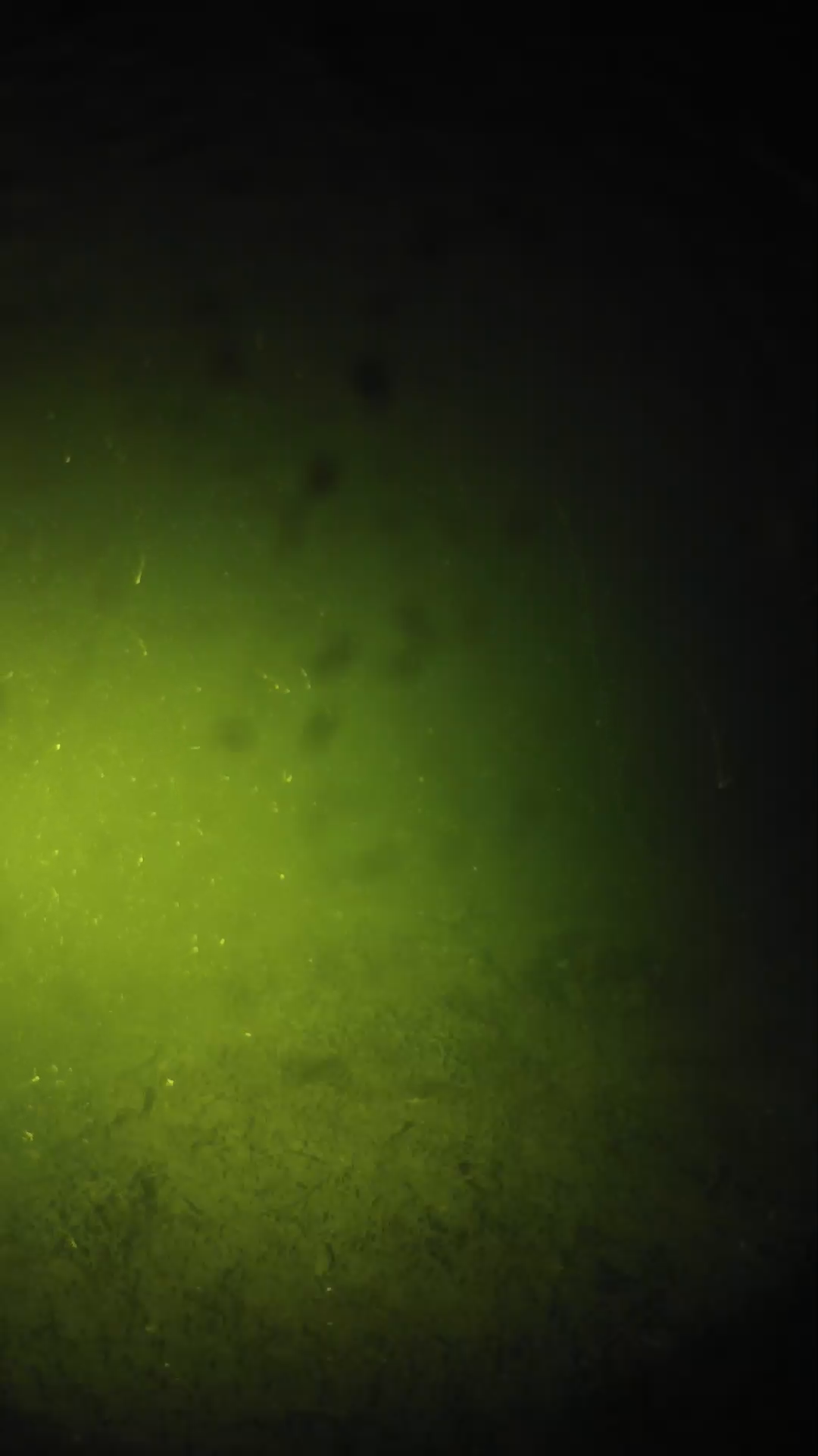 lander_ipcam_20240626220608.png