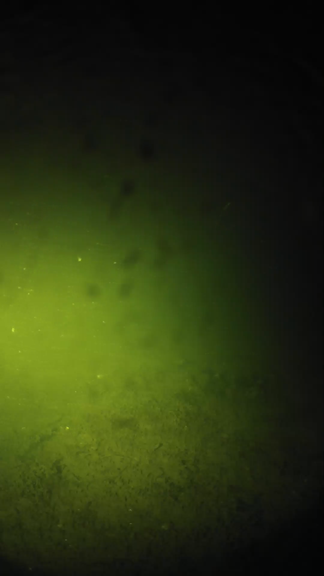 lander_ipcam_20240626230544.png