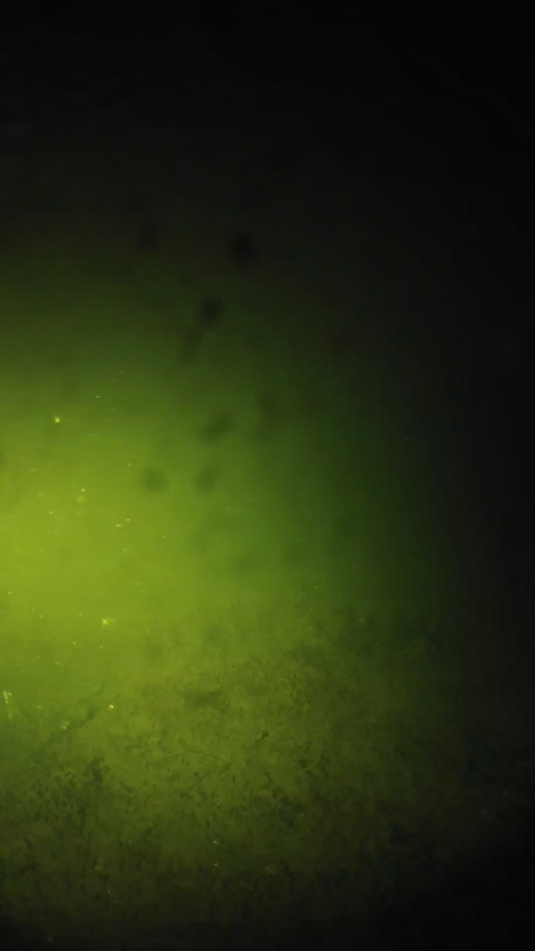 lander_ipcam_20240626230545.png