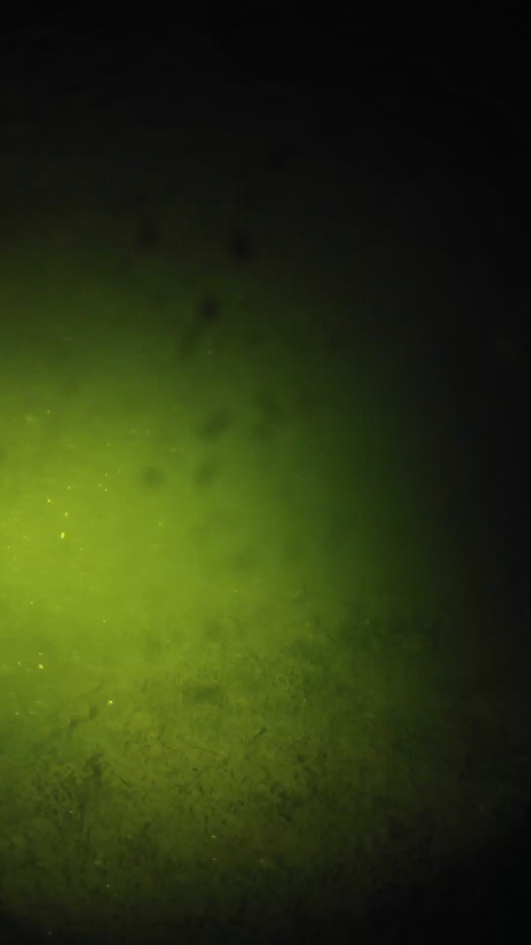 lander_ipcam_20240626230549.png