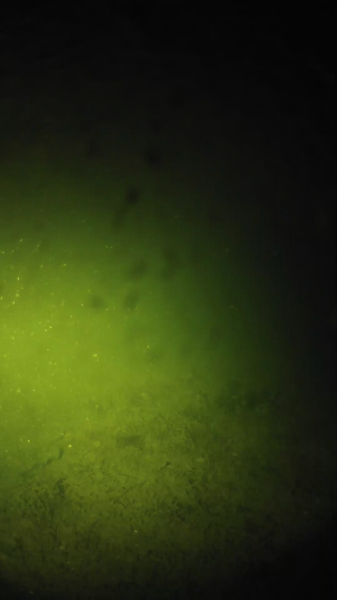 lander_ipcam_20240627003551.png