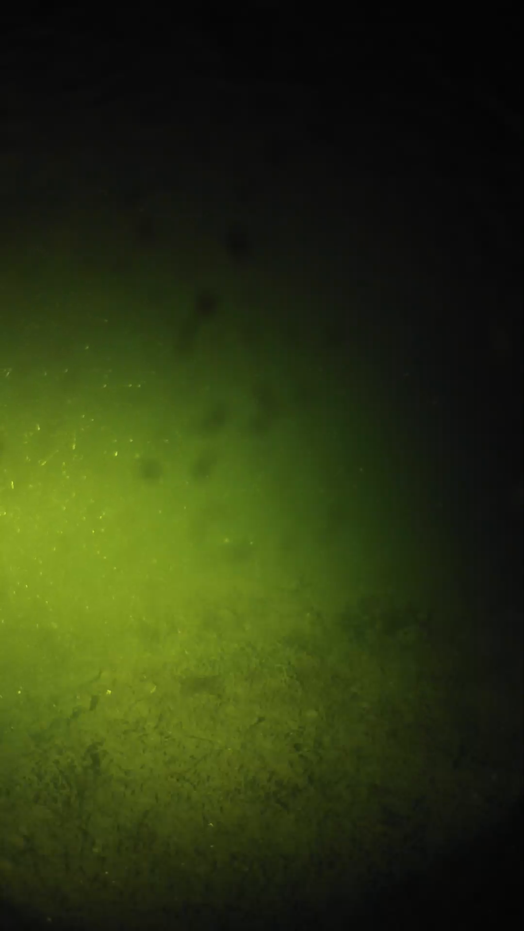 lander_ipcam_20240627003555.png