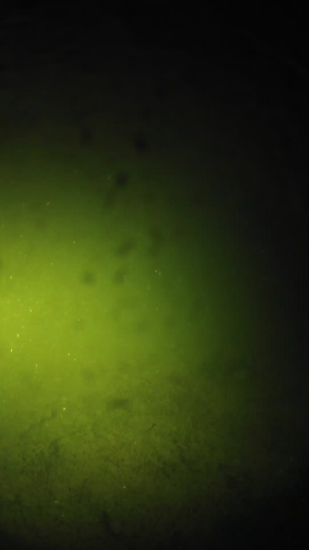 lander_ipcam_20240627020541.png