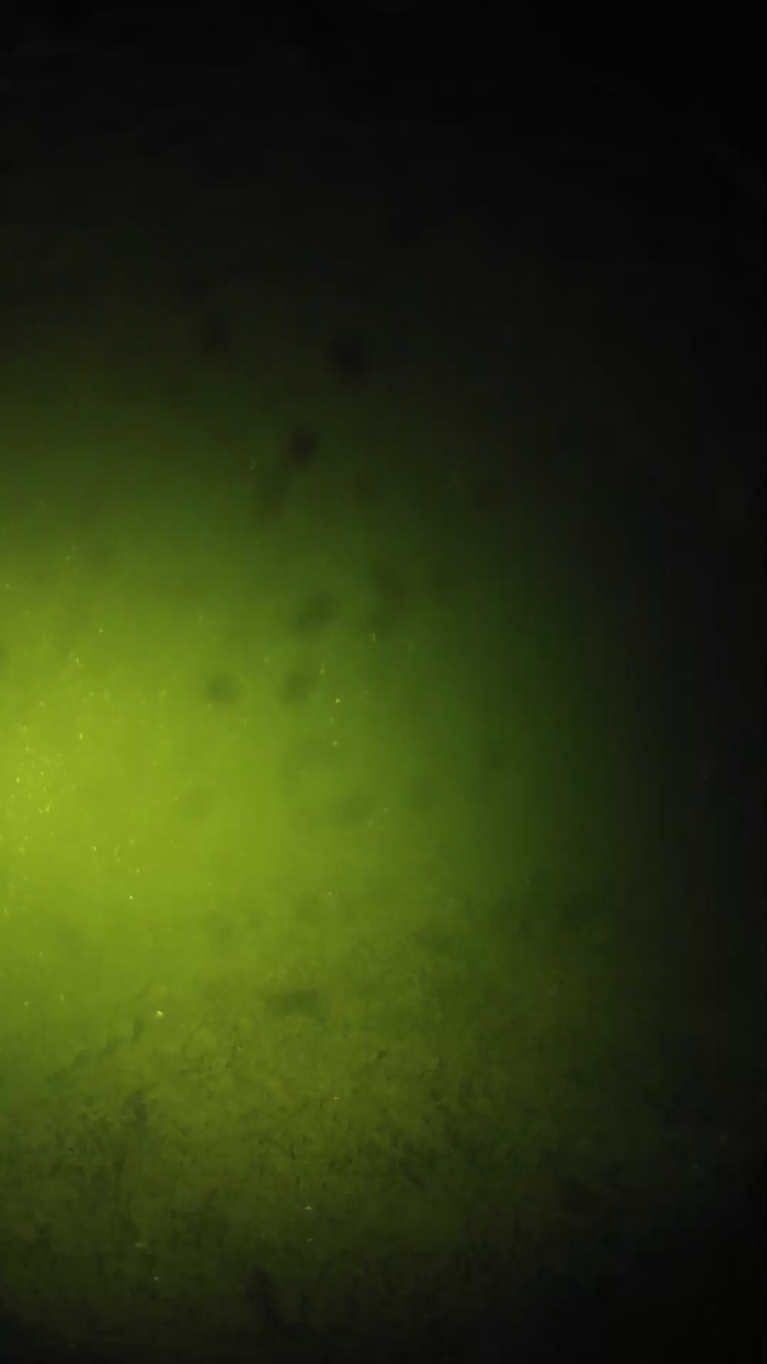 lander_ipcam_20240627020550.png