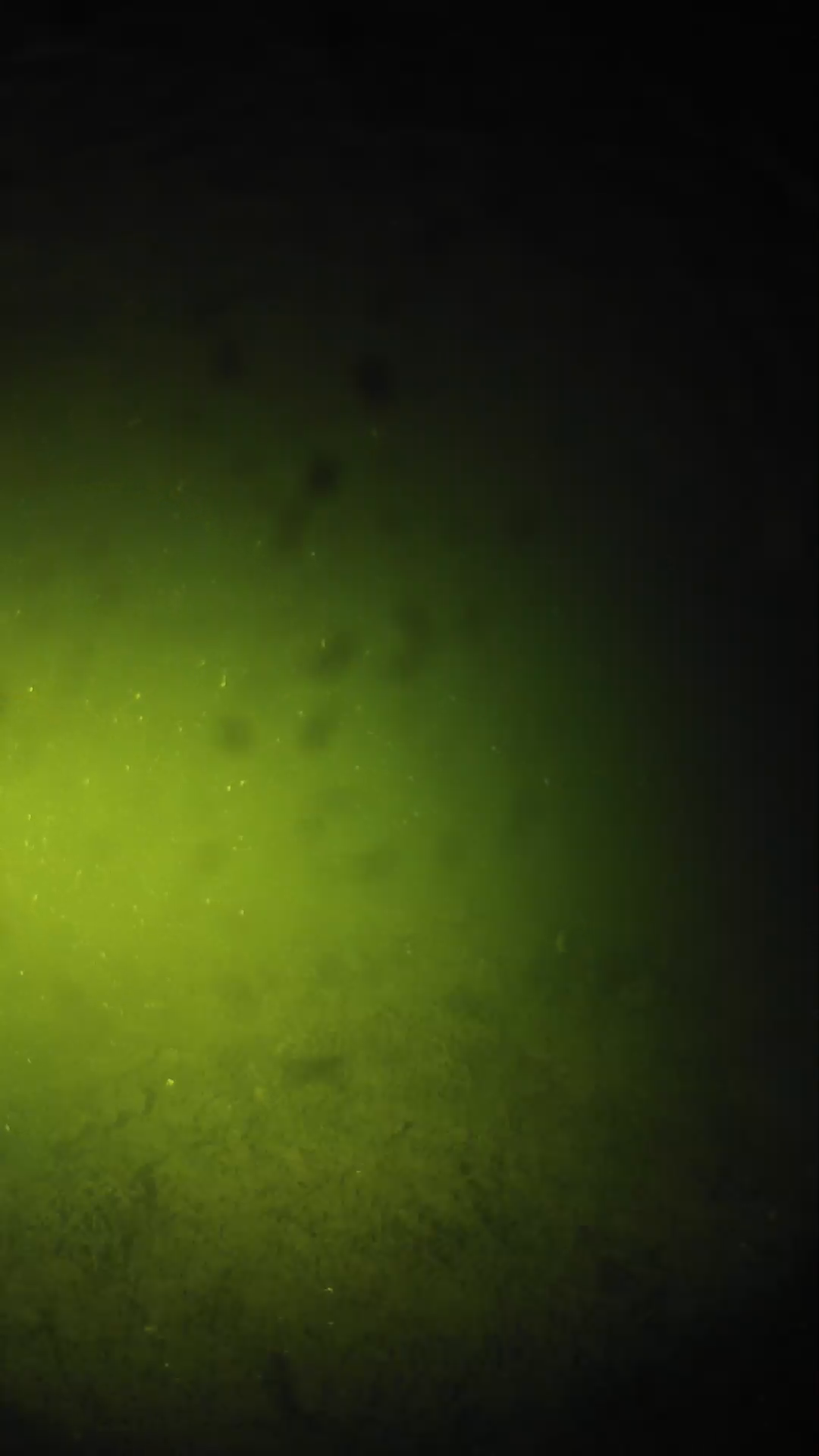 lander_ipcam_20240627020555.png
