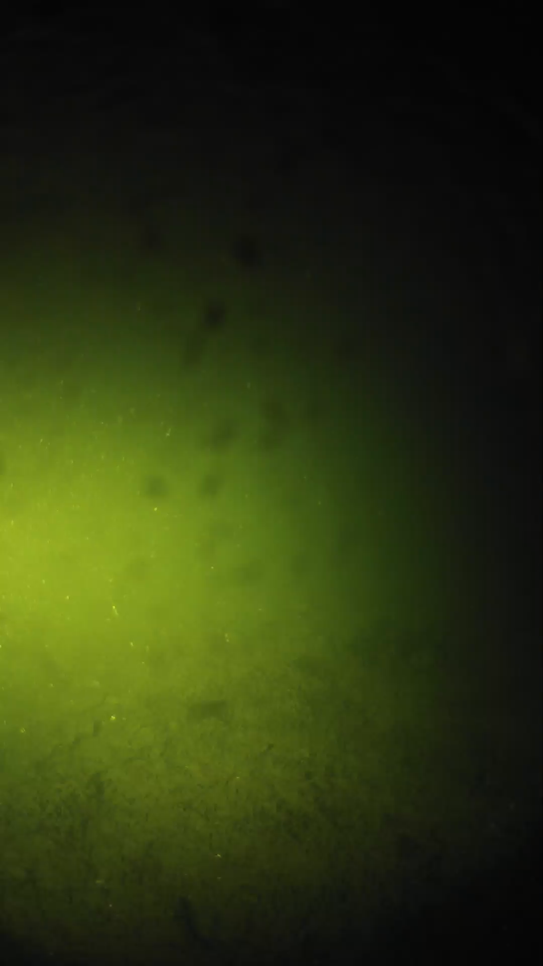 lander_ipcam_20240627020607.png