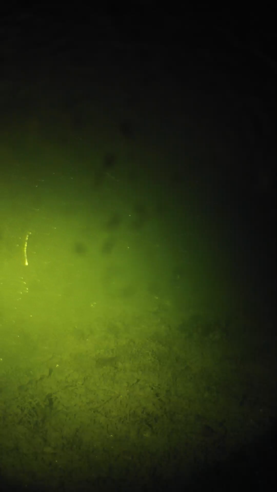 lander_ipcam_20240627033546.png