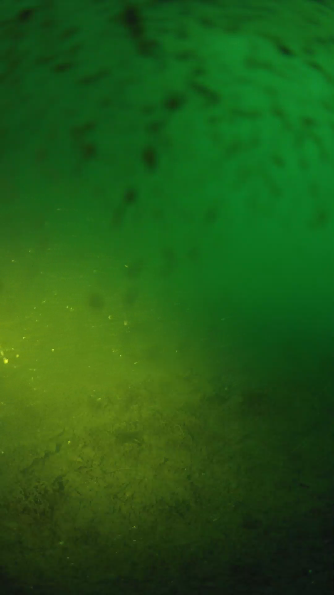 lander_ipcam_20240627050607.png