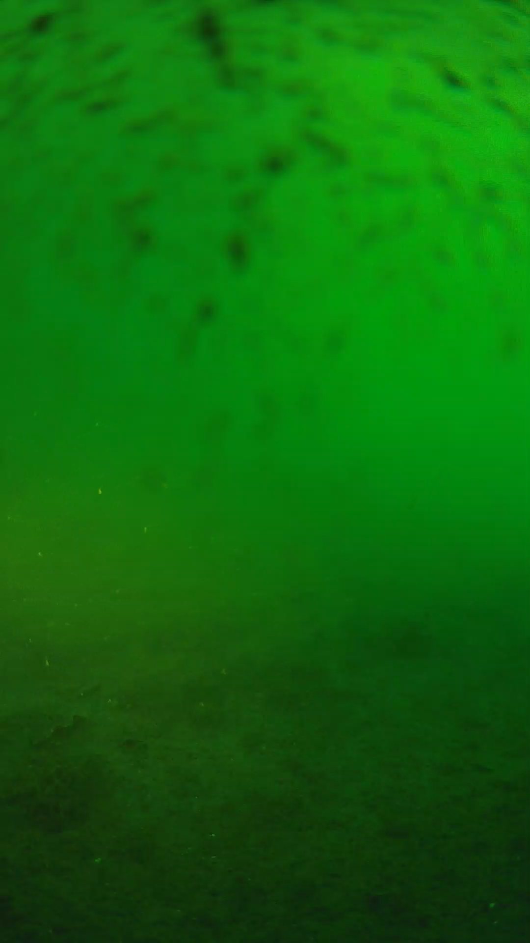 lander_ipcam_20240627060541.png
