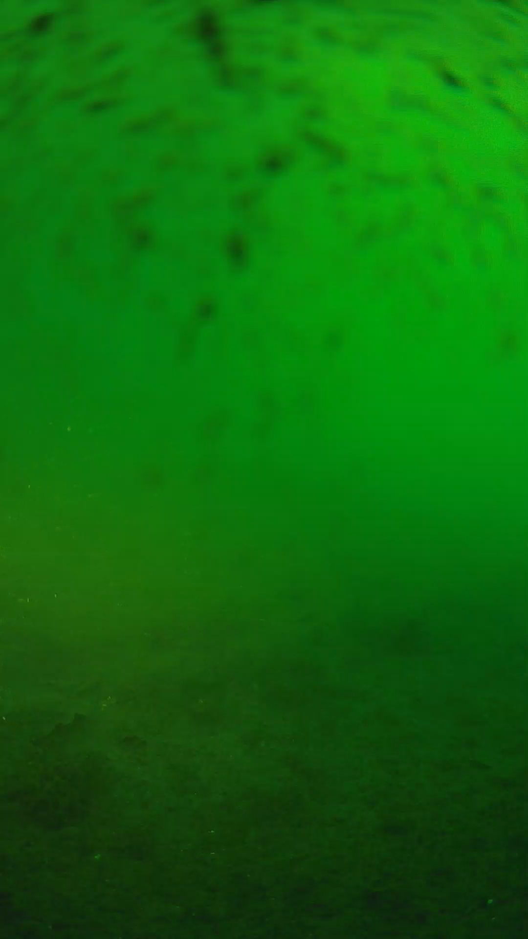 lander_ipcam_20240627060605.png