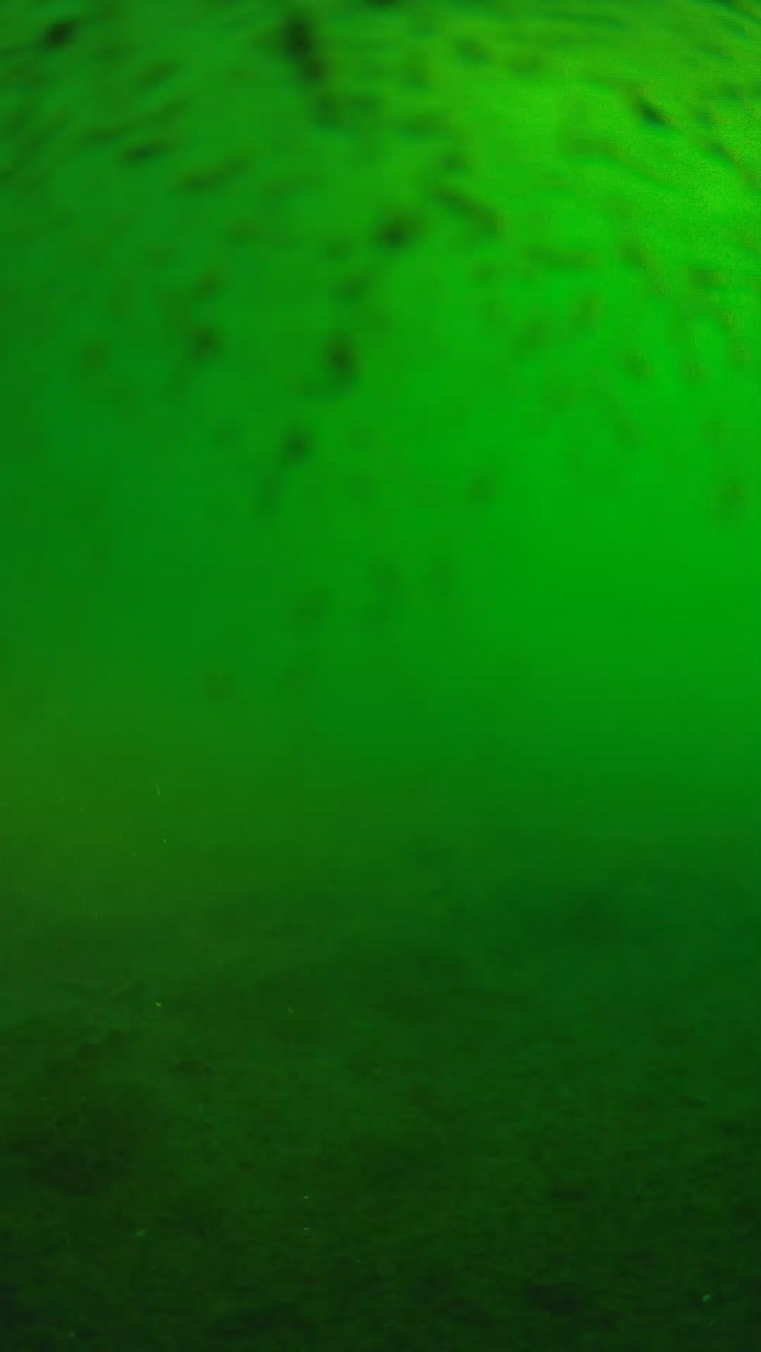 lander_ipcam_20240627070546.png