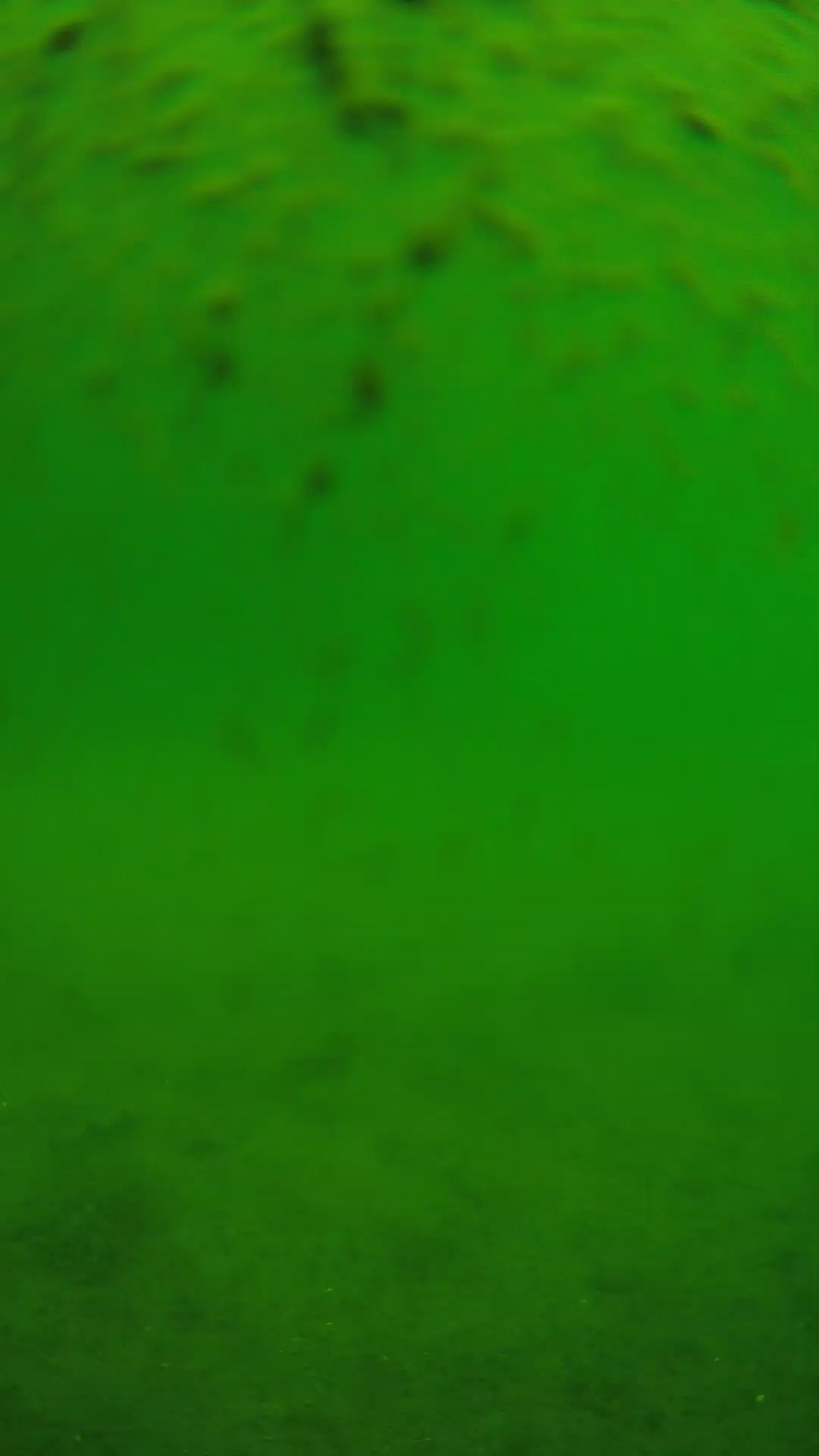 lander_ipcam_20240627103555.png