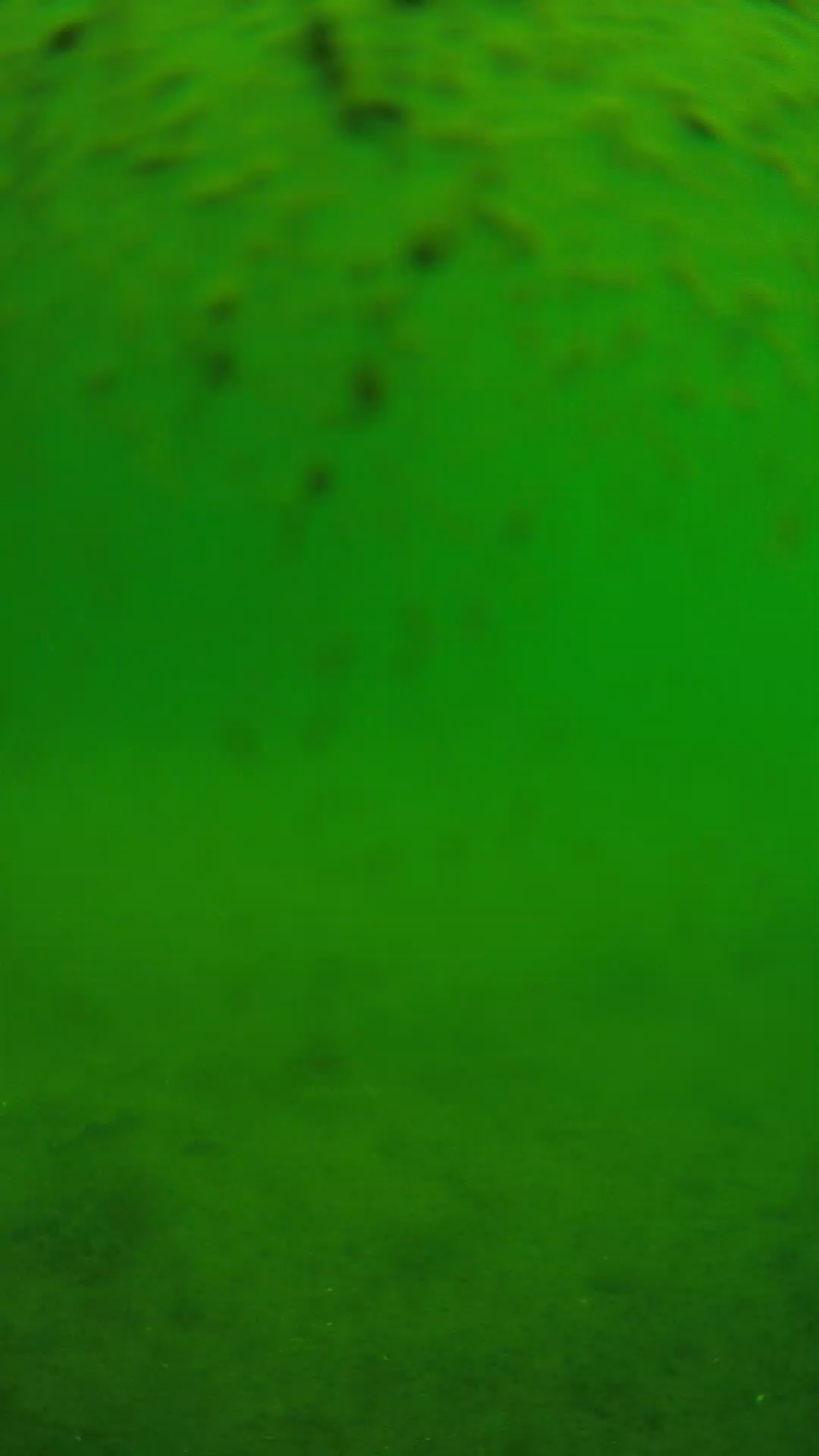 lander_ipcam_20240627103602.png