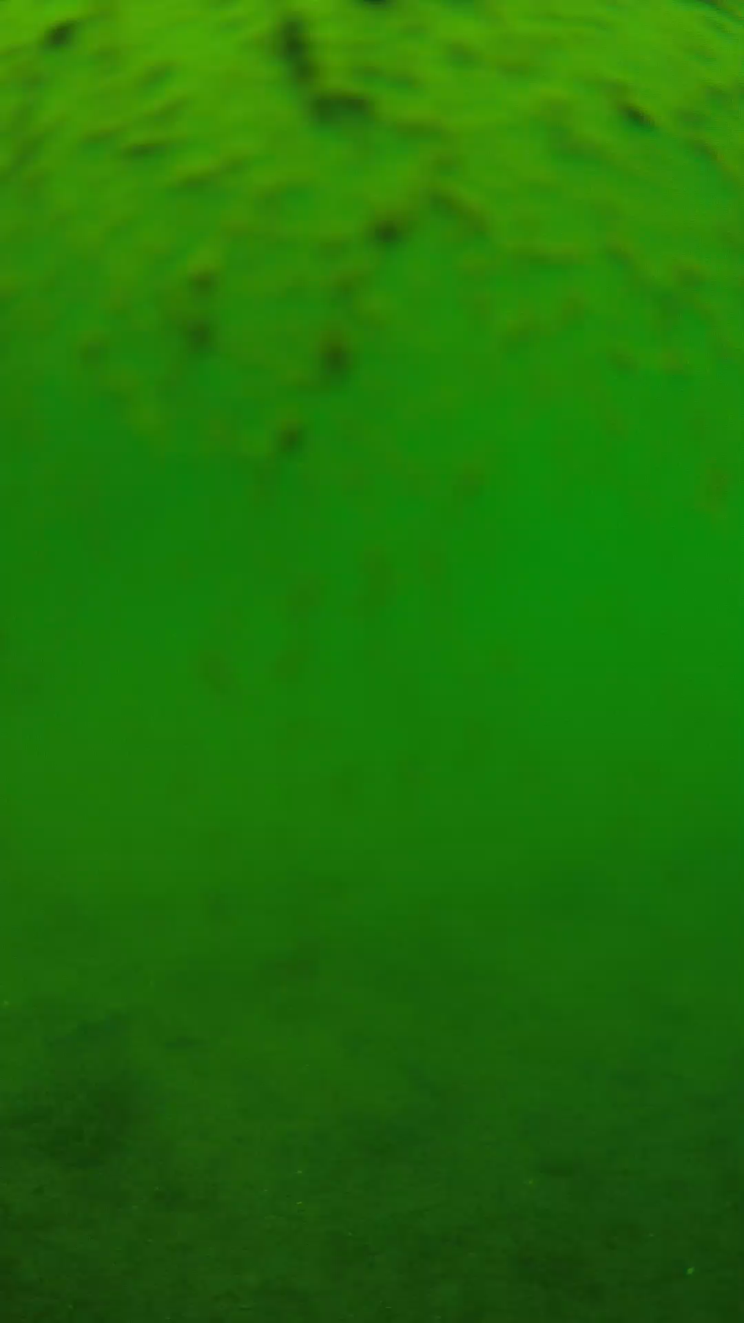 lander_ipcam_20240627113538.png