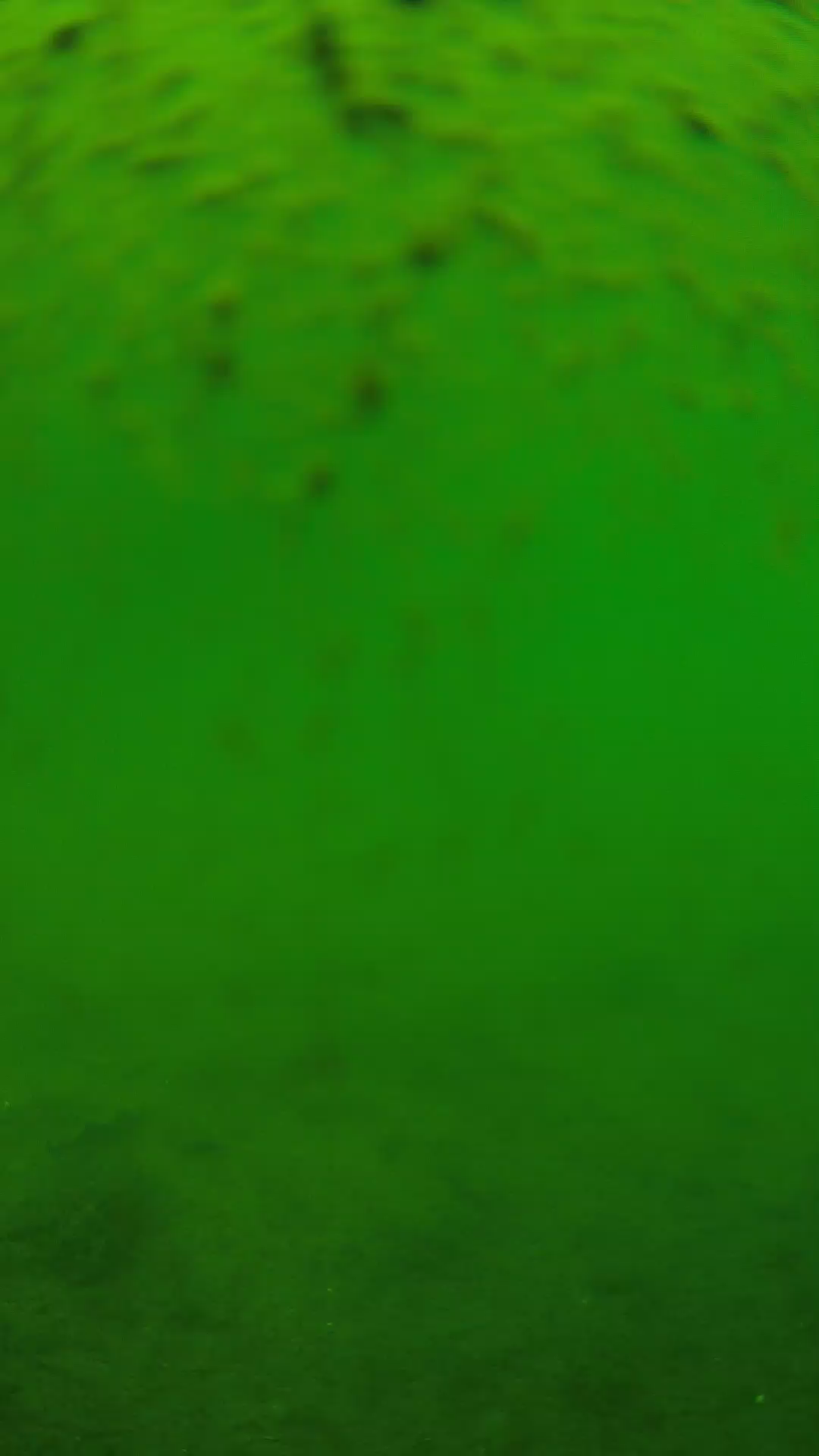 lander_ipcam_20240627113541.png