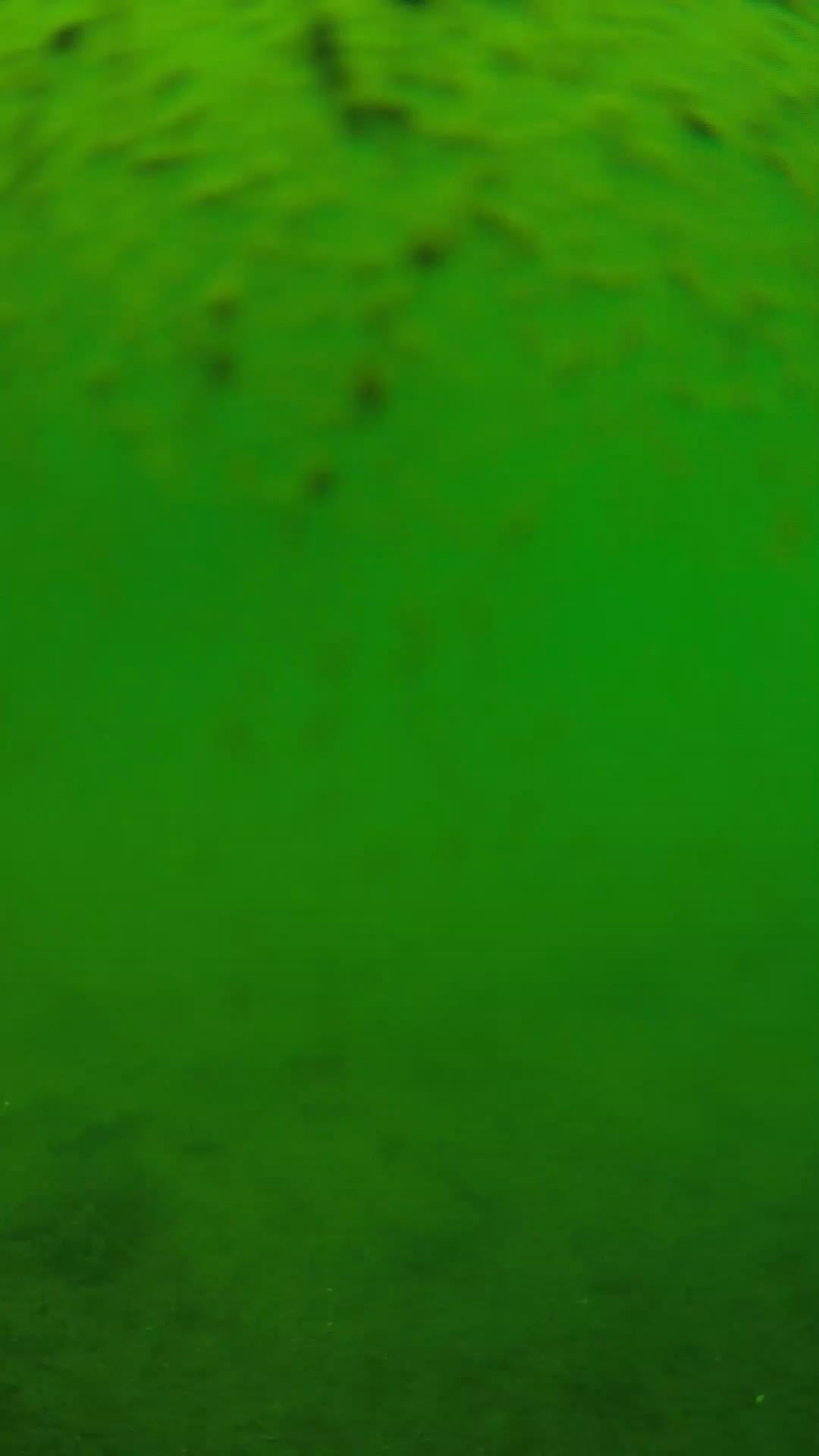 lander_ipcam_20240627113542.png