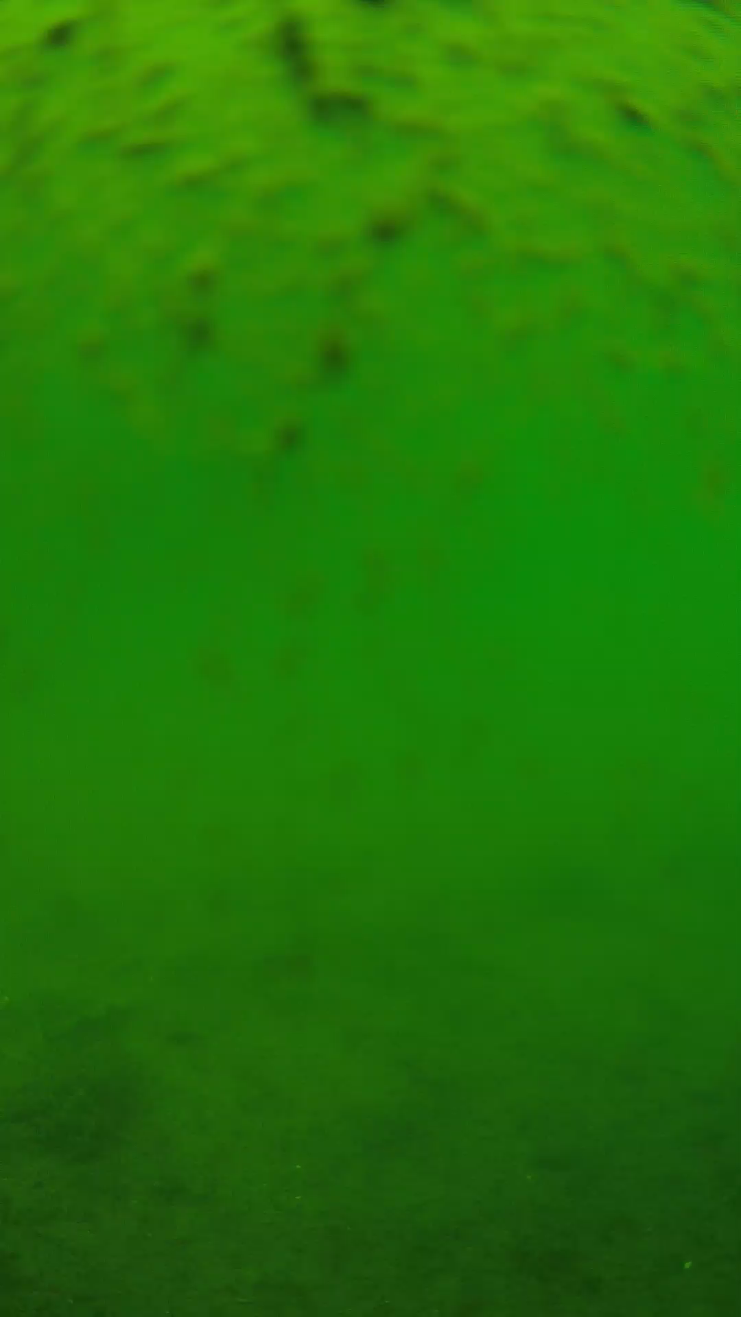 lander_ipcam_20240627113543.png
