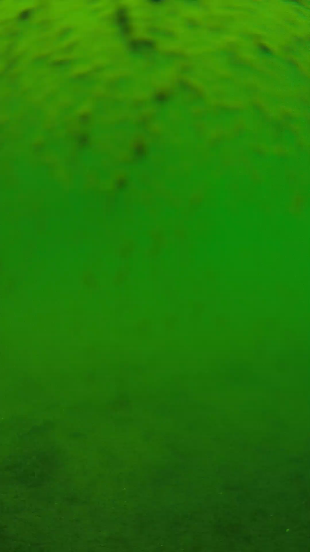 lander_ipcam_20240627113544.png