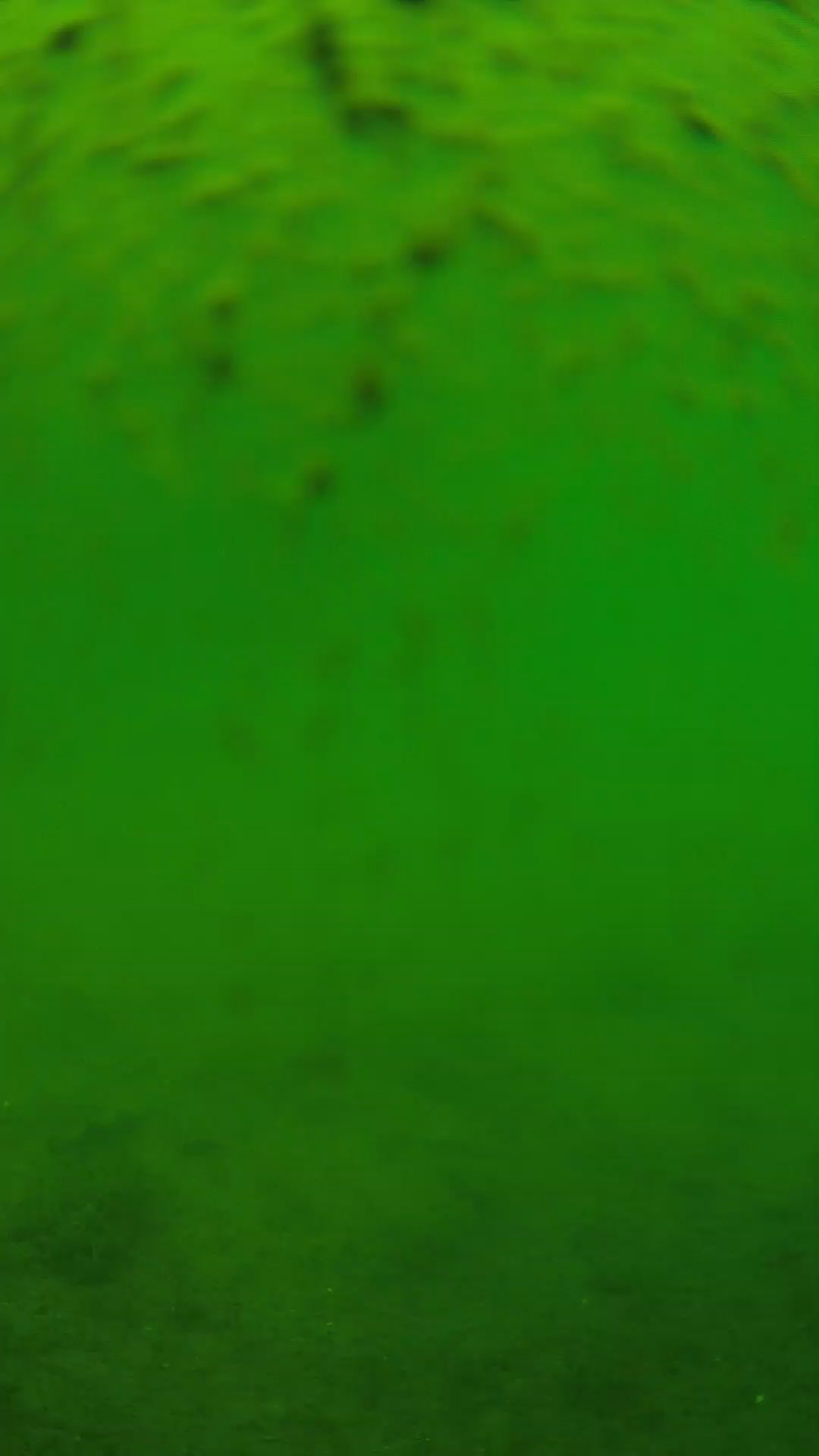 lander_ipcam_20240627113547.png