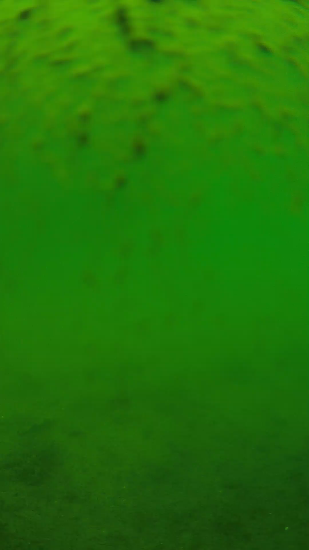 lander_ipcam_20240627113548.png