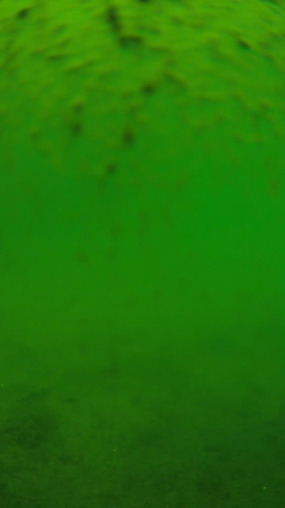 lander_ipcam_20240627113550.png