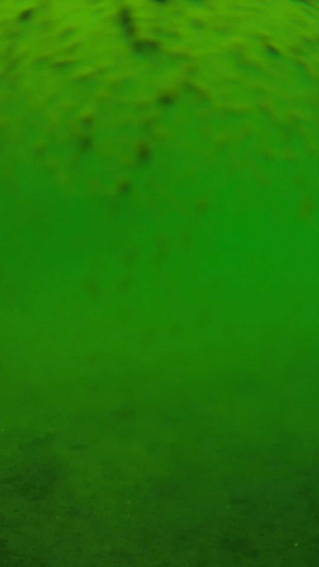 lander_ipcam_20240627113551.png