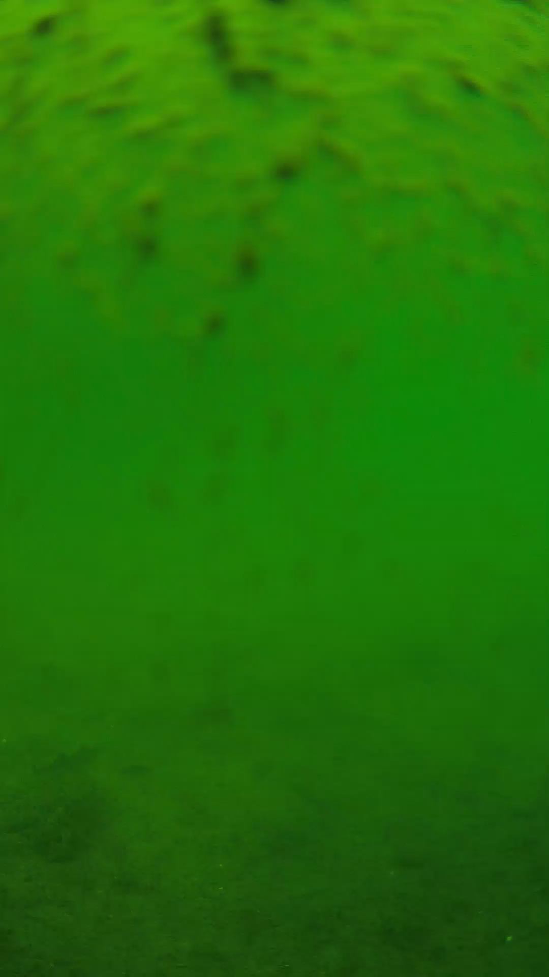 lander_ipcam_20240627113553.png